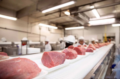 Research Progress on Color-Protecting Technologies for Novel Meat Products