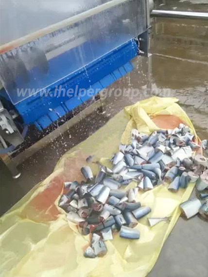 customizable fish cutting machine