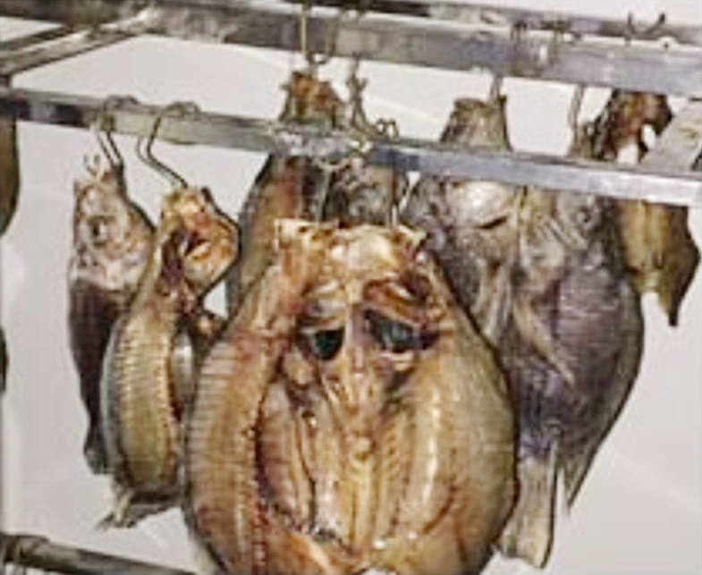 Best Industrial Dehydrators
