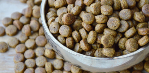 The Difference Between Dry and Wet Processing of Extruded Pet Food