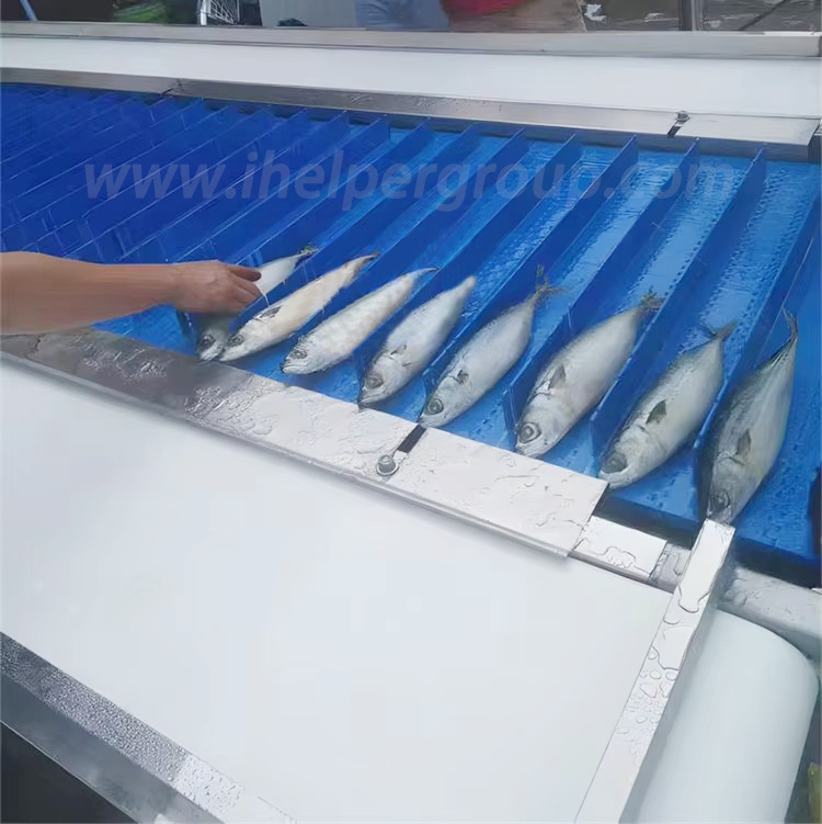 precise fish cutting